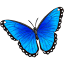 betwixtedbutterfly.com
