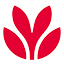 envisionfinancial.ca