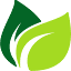 healthsupplements.us