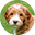 reagandoodle.com