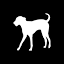 siriusdog.com