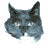 slekt.net