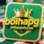 bolhapgwin.com