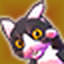 catlateraldamage.com