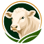 charolais-zuechter.de