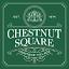 chestnutsquare.org