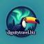 dignitytravel.biz