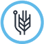 dreamwaretech.co.za