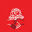dsausa.org