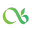 enwellchiro.com