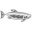 fishfever.com