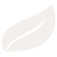 miquon.org