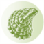 pacshell.org