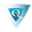 quantumneurology.com