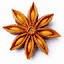 staraniso.globalphasing.org