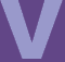 vaseguy.com