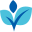 zf.org.qa