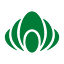 chilebiogreen.cl