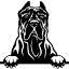 dgkennels.com