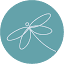 dragonflymarketingandpromos.com