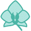 drhegedosh.com