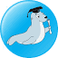 guiafoca.org