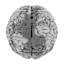 mnsoft.org