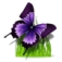 nsk-mahaon.ru