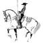 equitationportugaise.com