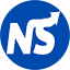 nextsuccess.com
