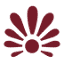 shaktibhaktionline.com