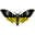 soulfirefashion.de