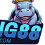 tnmember.com