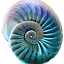 beachwebsites.com.au