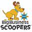 bigbusinessscoopers.com