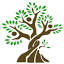 bonsaiplantsnursery.com