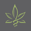 cannabismdtelemed.com