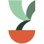 cytrusy.com.pl