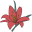 daylilynursery.com
