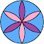 fenestratio.com