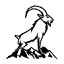ibex-elektro.ch