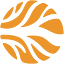 jaxtrib.org