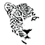 leopardclick.com