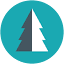 rentsilverpine.com
