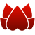 theawakenedlifestyle.com