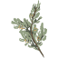 thesageschool.org