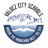 valdezcityschools.org