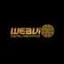 webviotechnologies.com