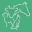 aniworldvetclinic.co.ke