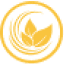 arongroups.co